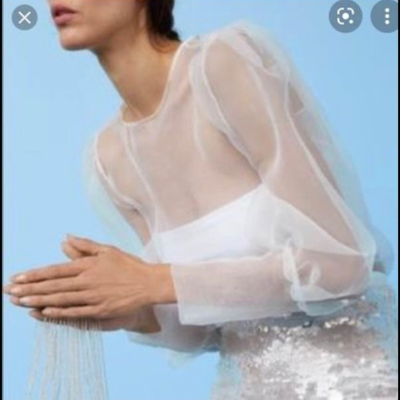 Zara off white Organza brand new with tag for Women - Picture 4 of 4